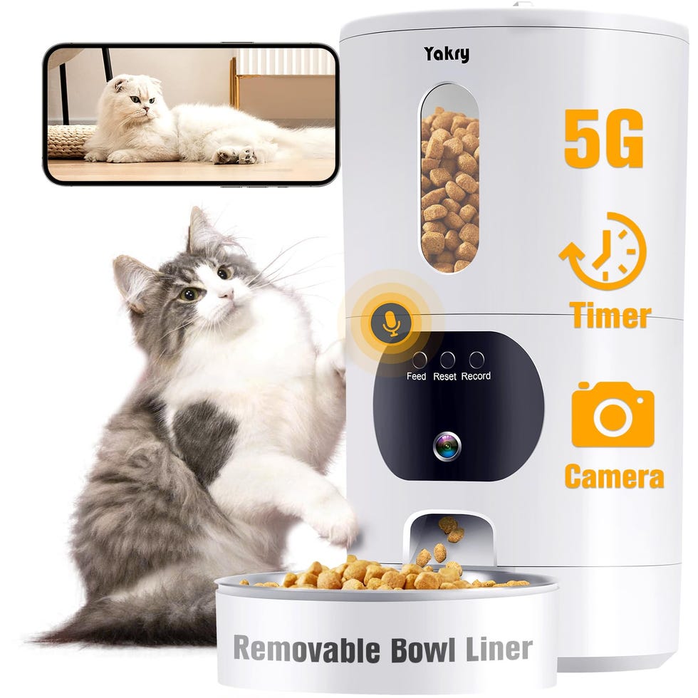 Automatic Cat Feeder