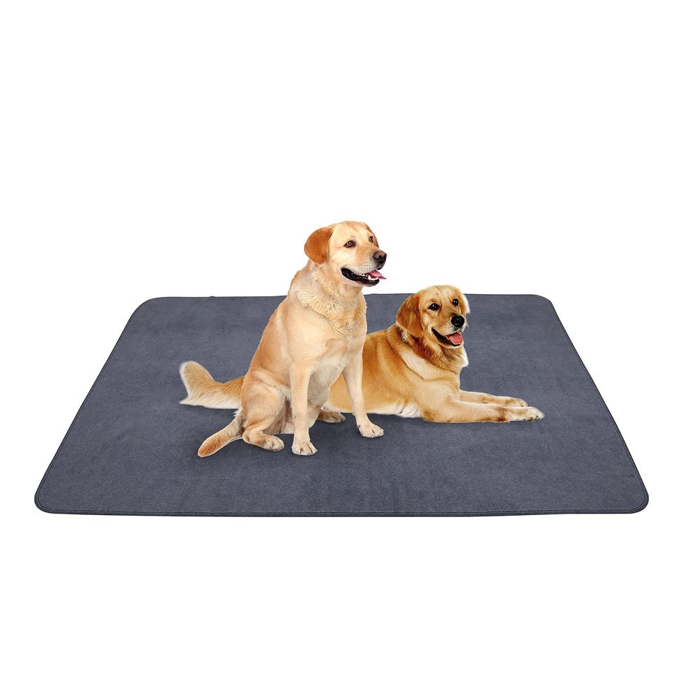 Non-Slip Dog Pads