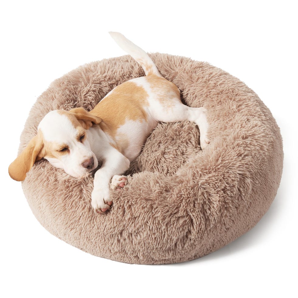 Calming Dog Bed