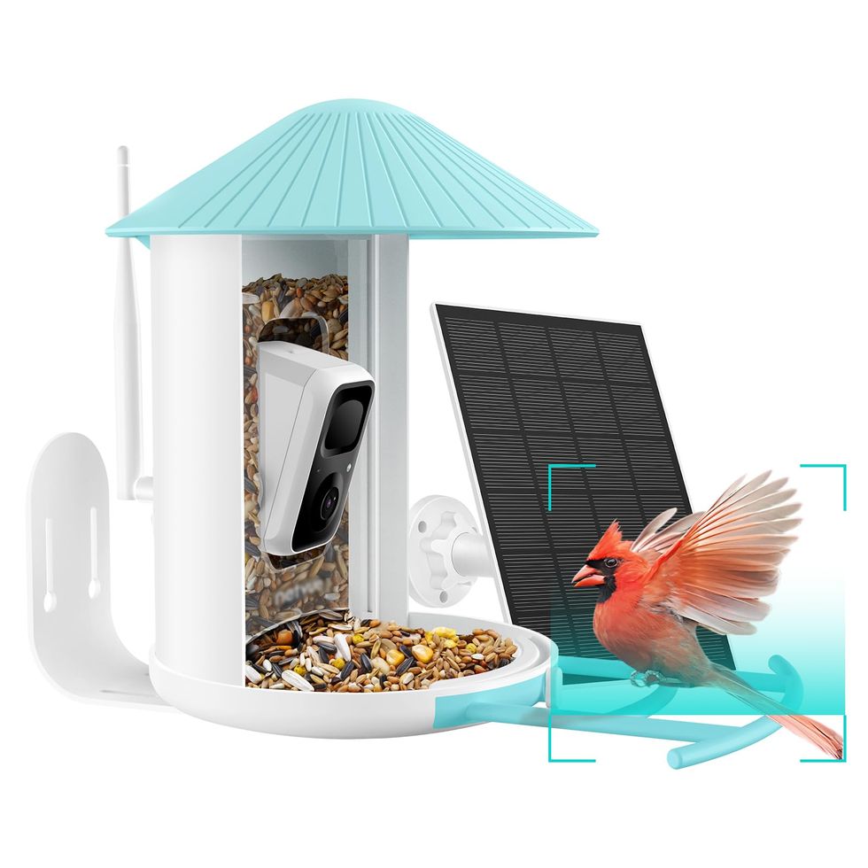 AI Smart Bird Feeder with Solar Panel