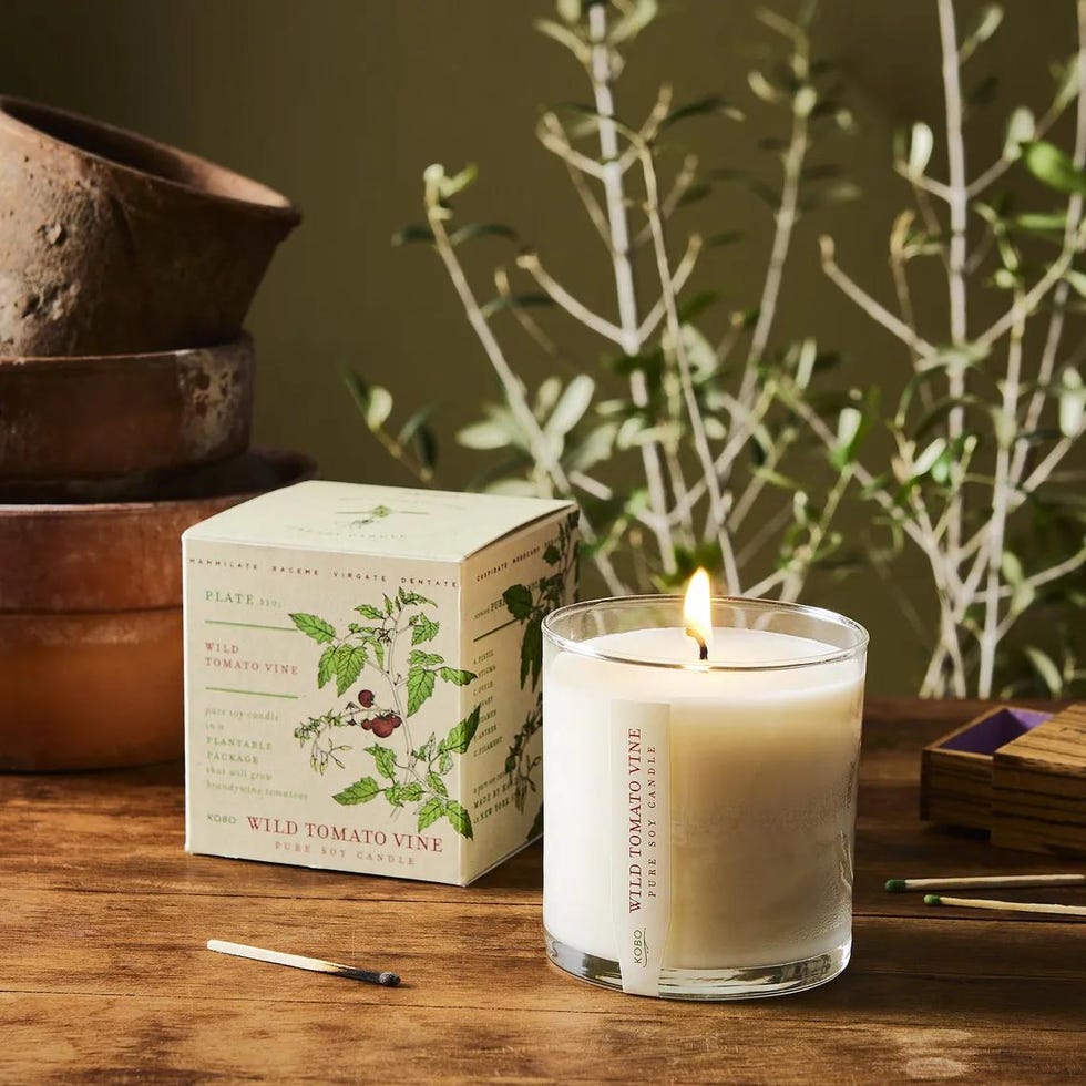 Plant the Box Scented Candle