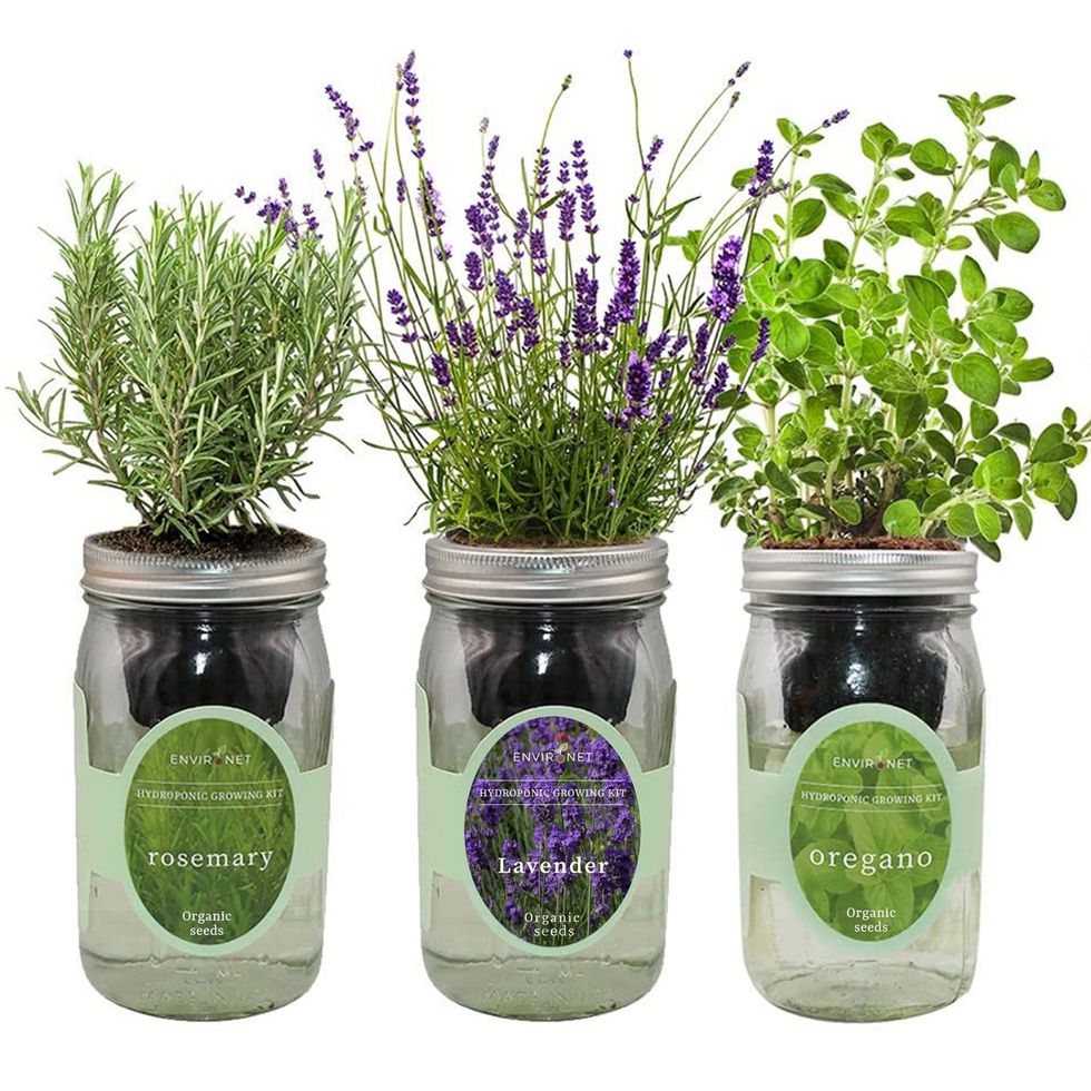 Hydroponic Herb Growing Kit