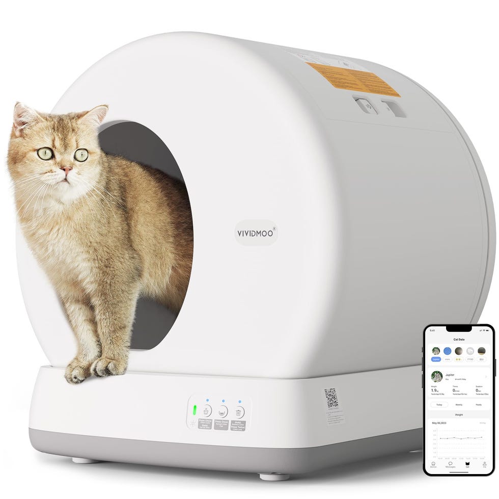Arenero para gatos autolimpiable con alfombrilla