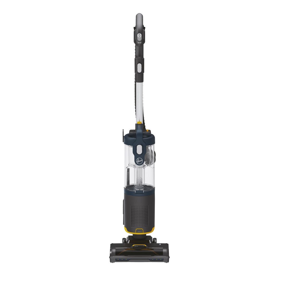 Pet Upright Vacuum Cleaner 