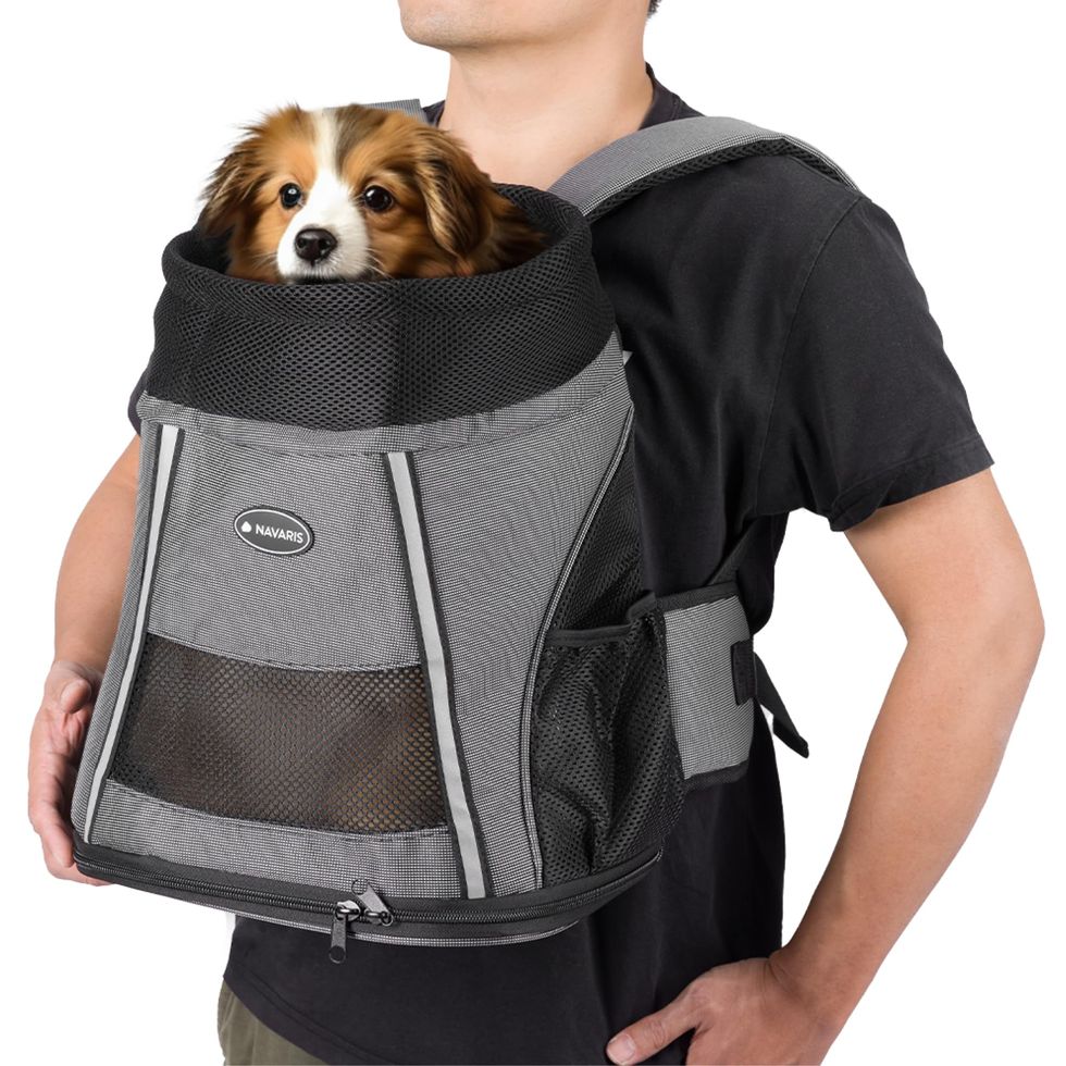 Transportín mochila para perro pequeño