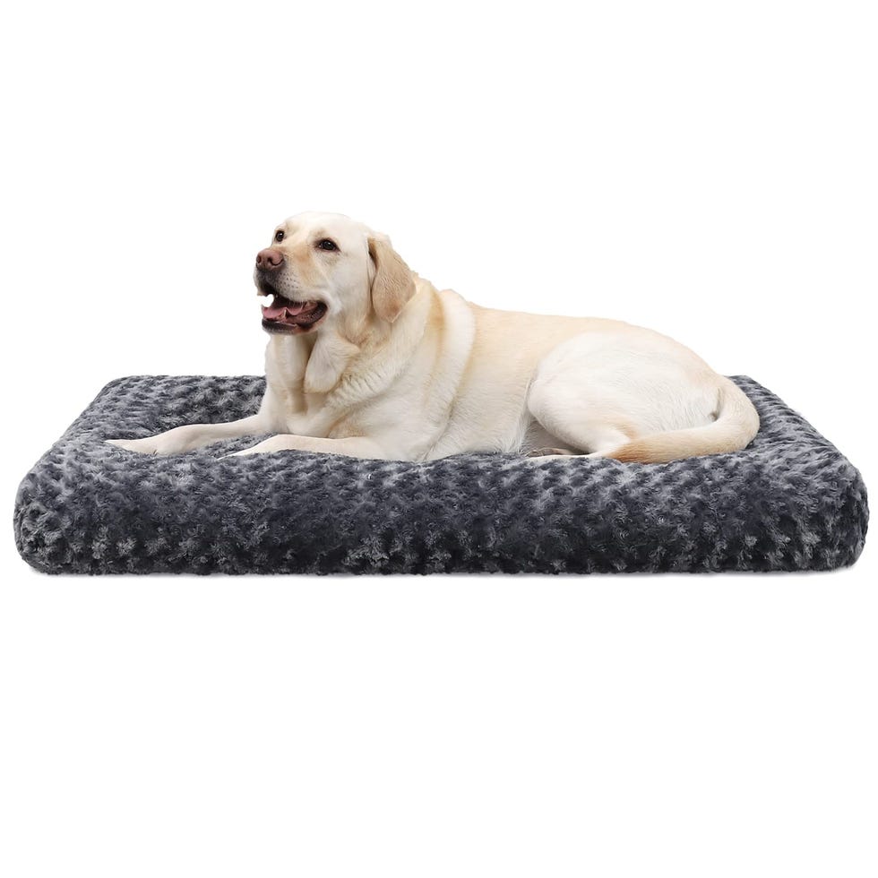 Cama para perros grande