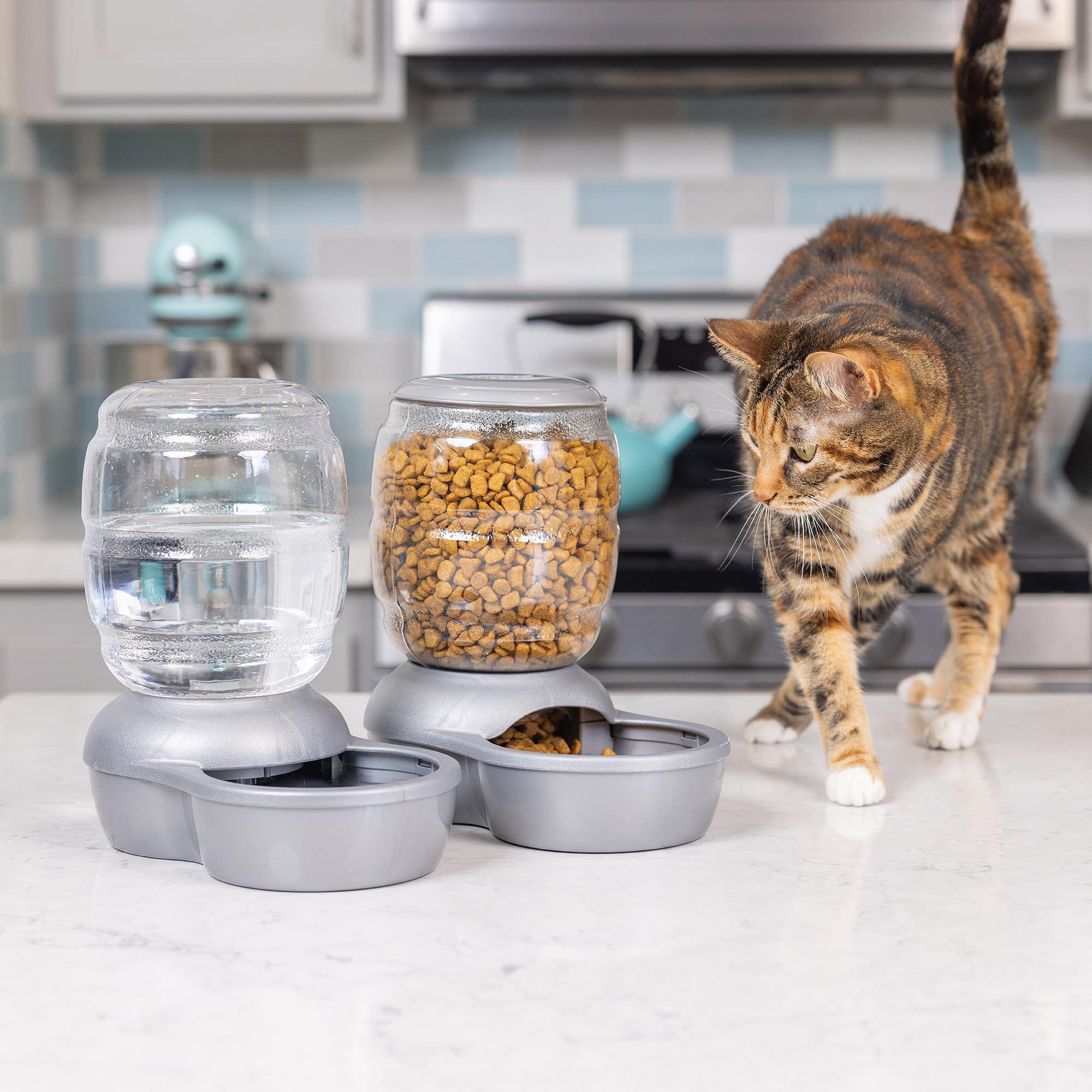 8 Best Automatic Cat Feeders of 2024