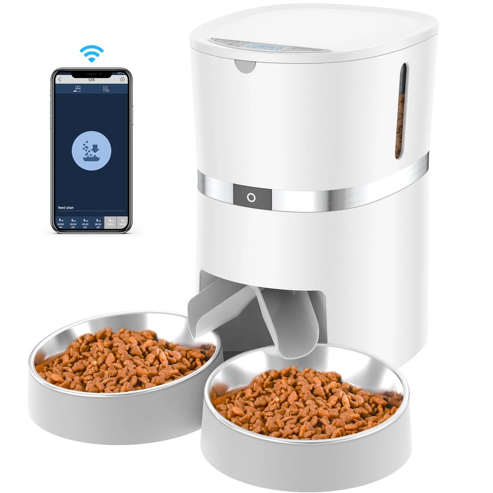 Automatic Cat Feeder