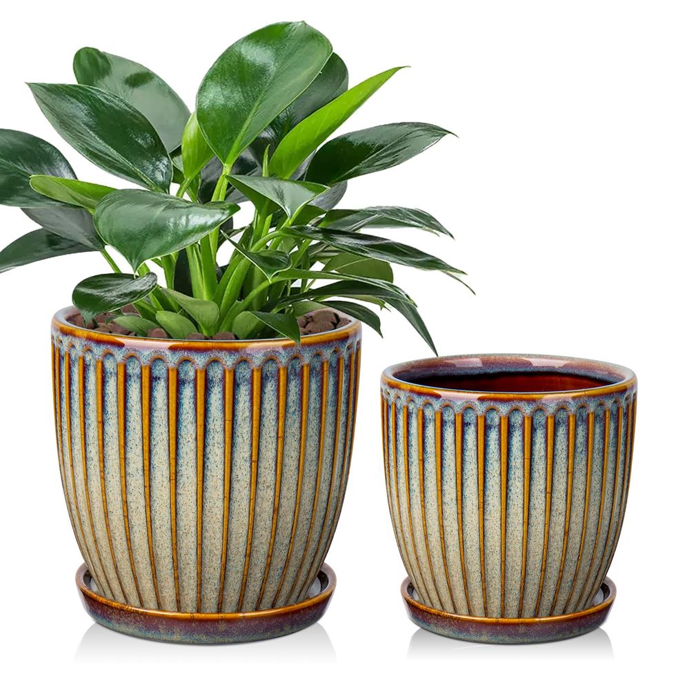 Set of 2 Ceramic Plant Pots