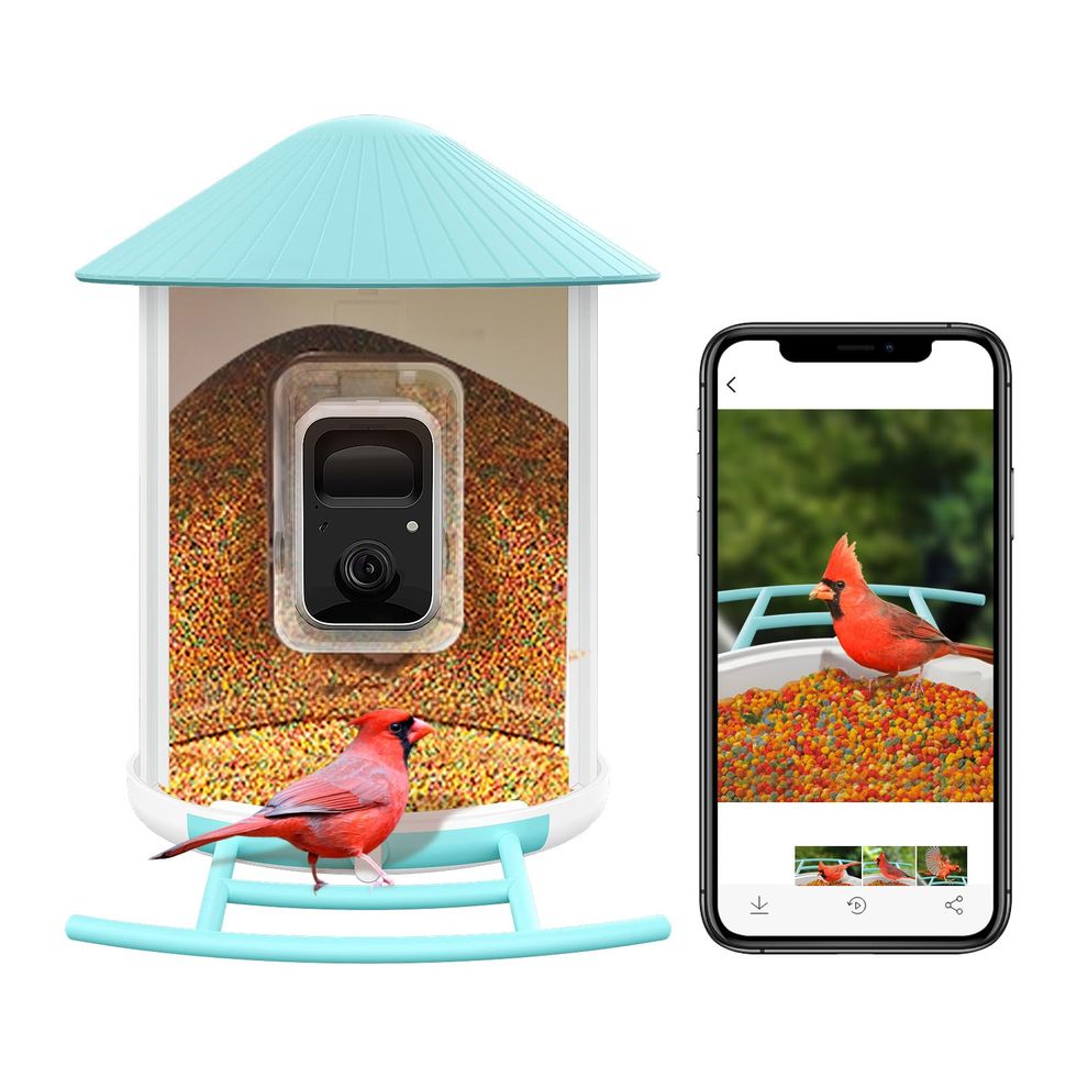 NETVUE Birdfy Smart Bird Feeder with Camera - Auto Capture & Identify 6000+ Species, Free AI Forever, Ideal Gift for Birdwatching and Bird Lovers