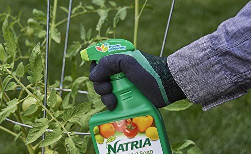 Natria Organic Insecticidal Soap