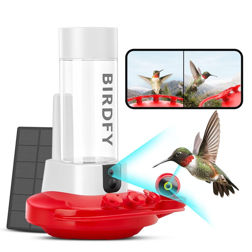 Birdfy Hummingbird Feeder Birdfy Hummingbird Feeder