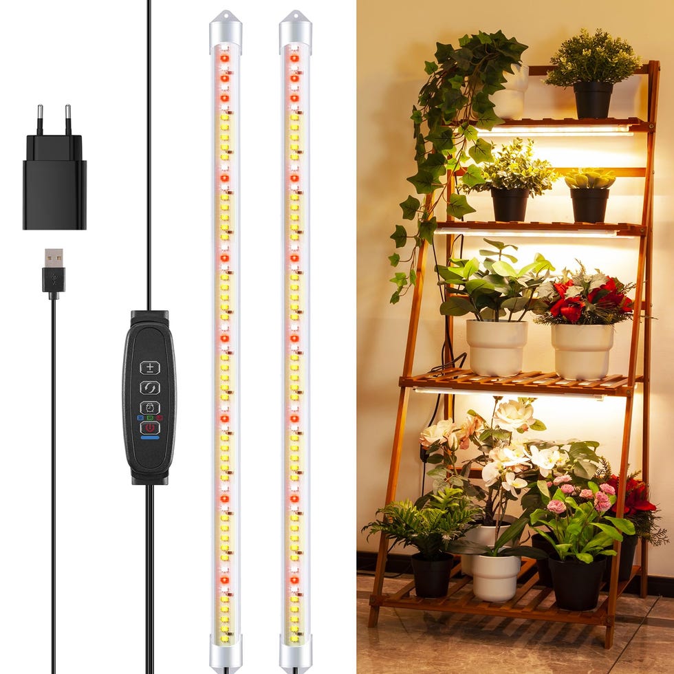 Luces de plantas de espectro completo