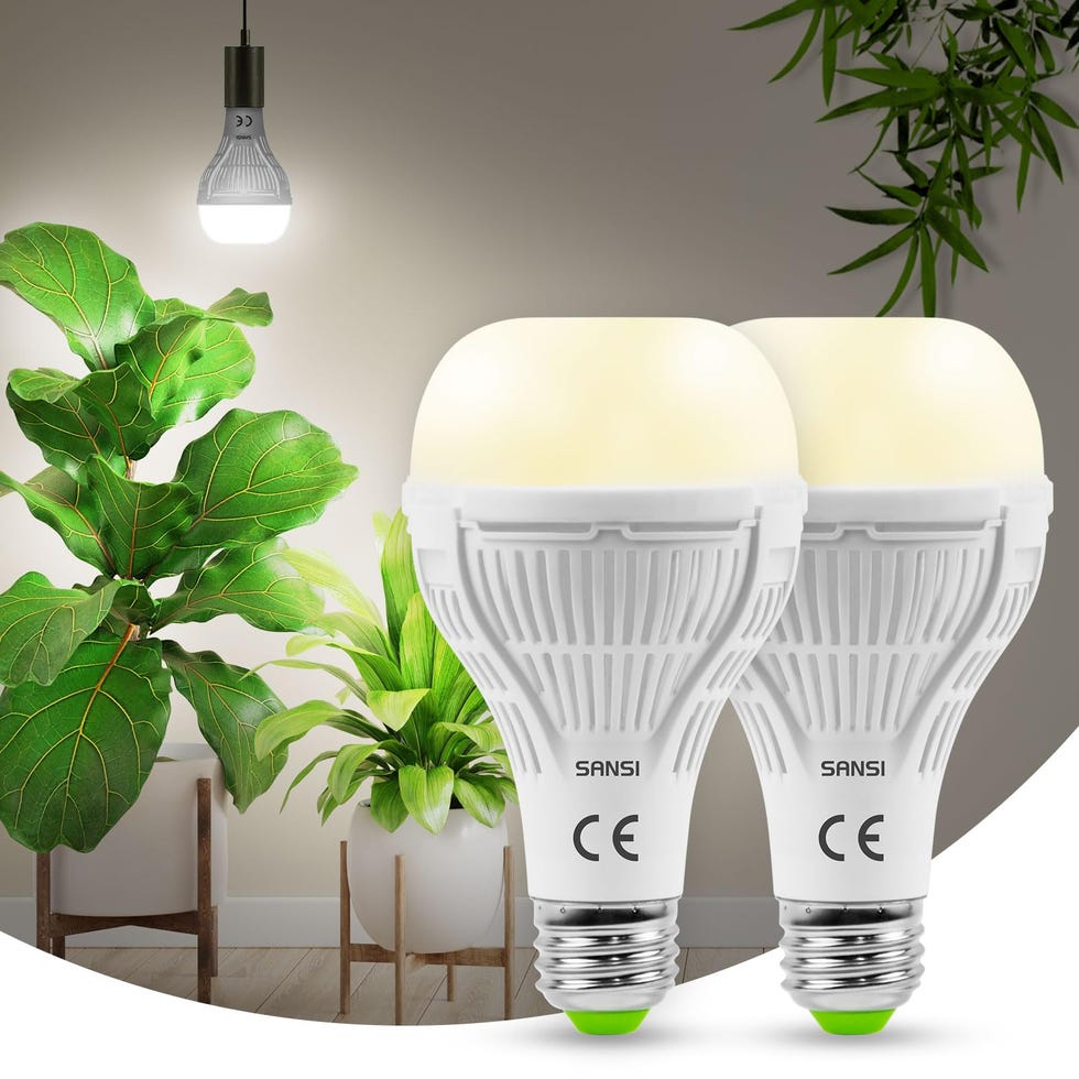 Bombillas de crecimiento para plantas