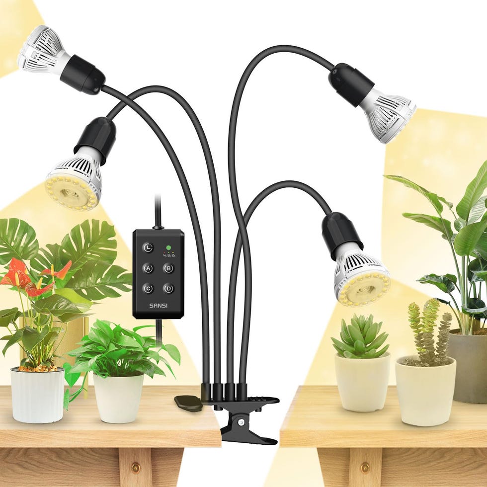 Lámpara de cultivo para plantas de interior