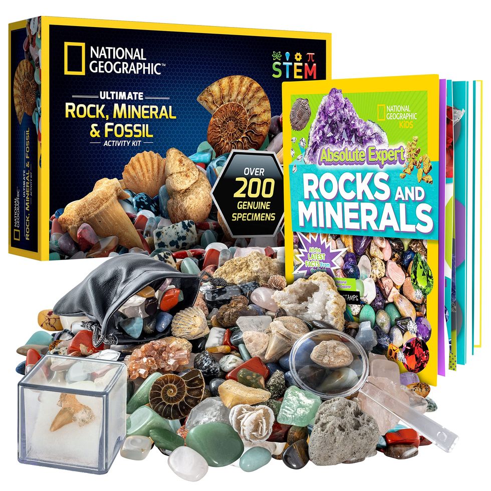 Rock Collection Box