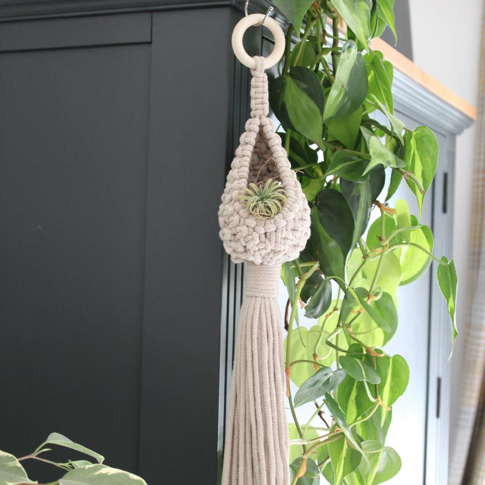Plant Pod Hanger