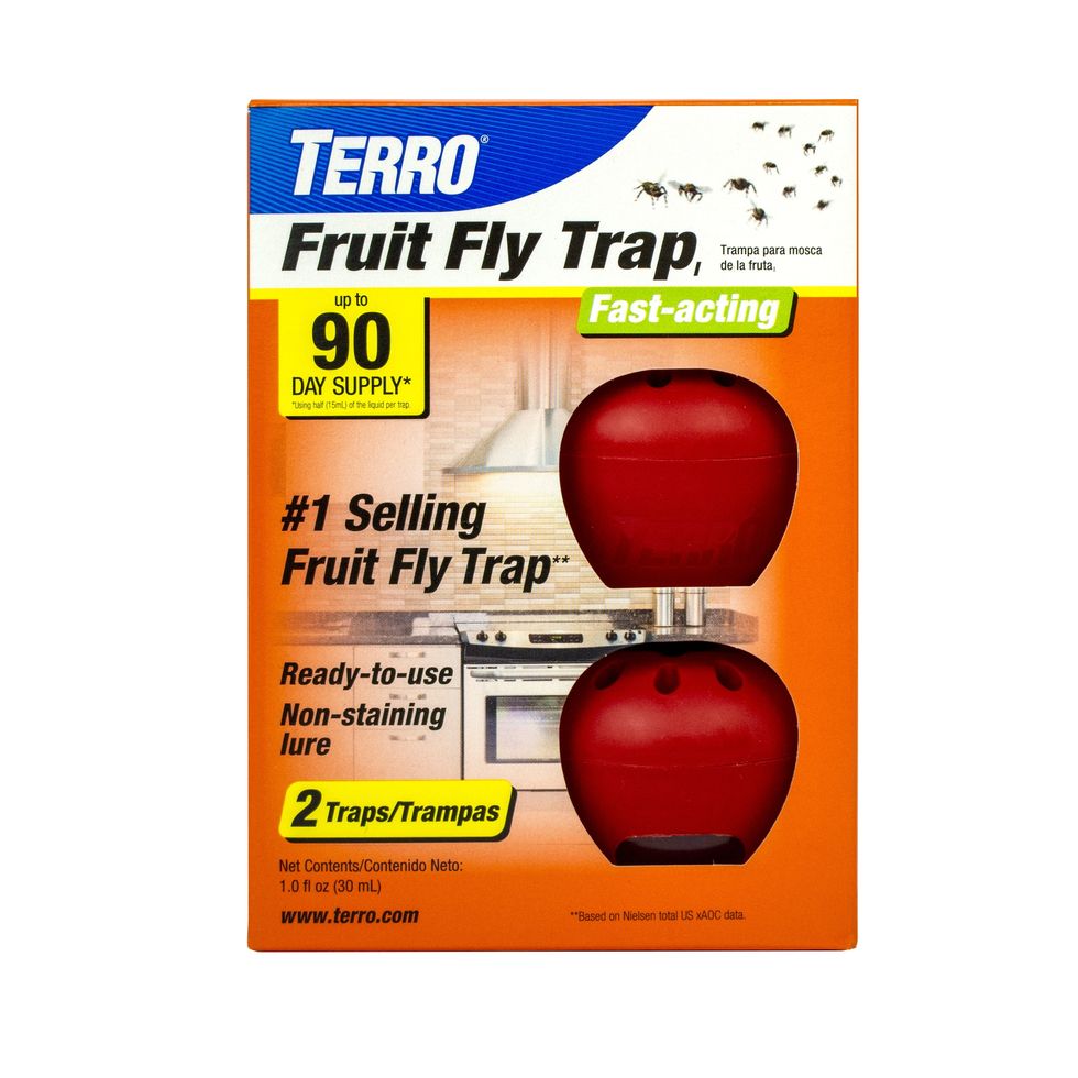 3 Best DIY Fruit Fly Traps to Get Rid of Pesky Flies