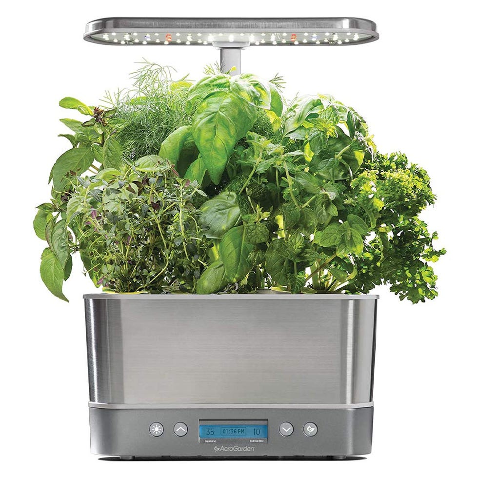  In-Home Garden