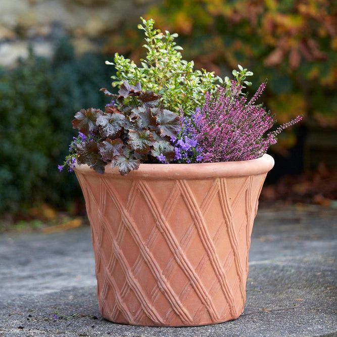 Lattice Terracotta Plant Pot