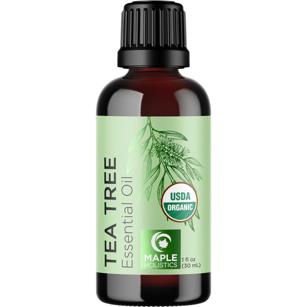 Organic Tea Tree Oil for Hair Skin & Nails - 100% Pure Certified Organic Tea Tree Essential Oil for Skin and Dry Flaky Scalp Care Plus Nail Treatments DIY Beauty and Natural Cleaning 1 Fl Oz