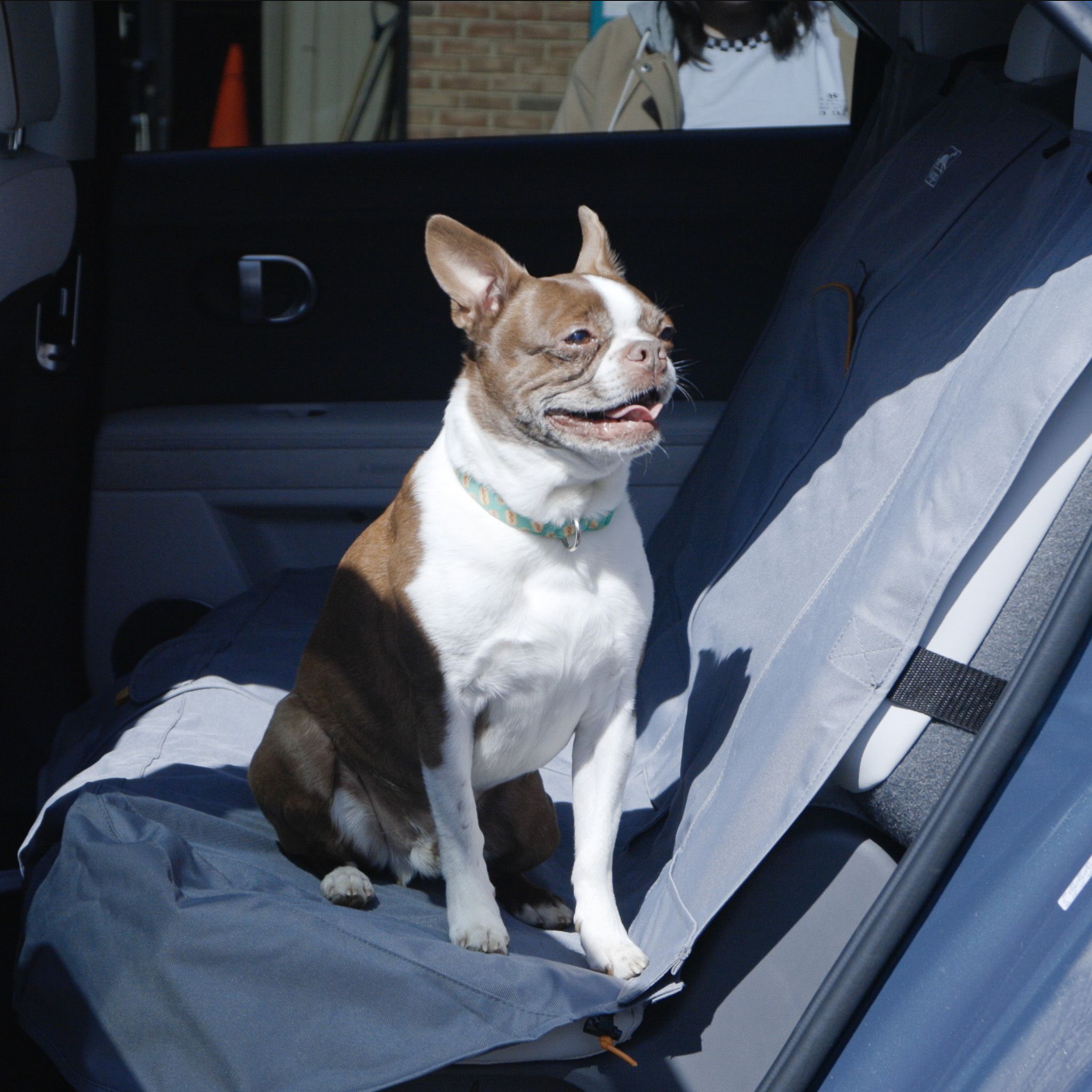 Dogs Car Seat deals Covers, Custom Made Cover New Car Gifts Cute Car Accessory Front Seat Covers