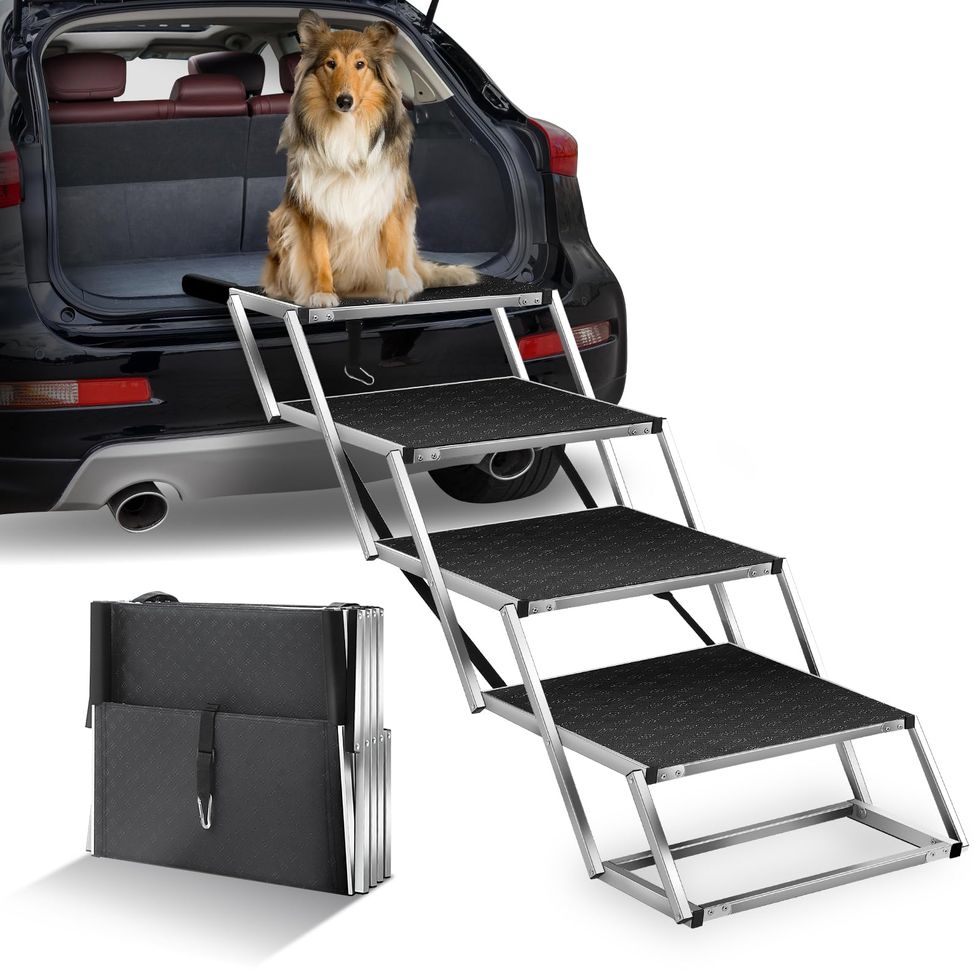 Extra-Wide Portable Dog Car Stair