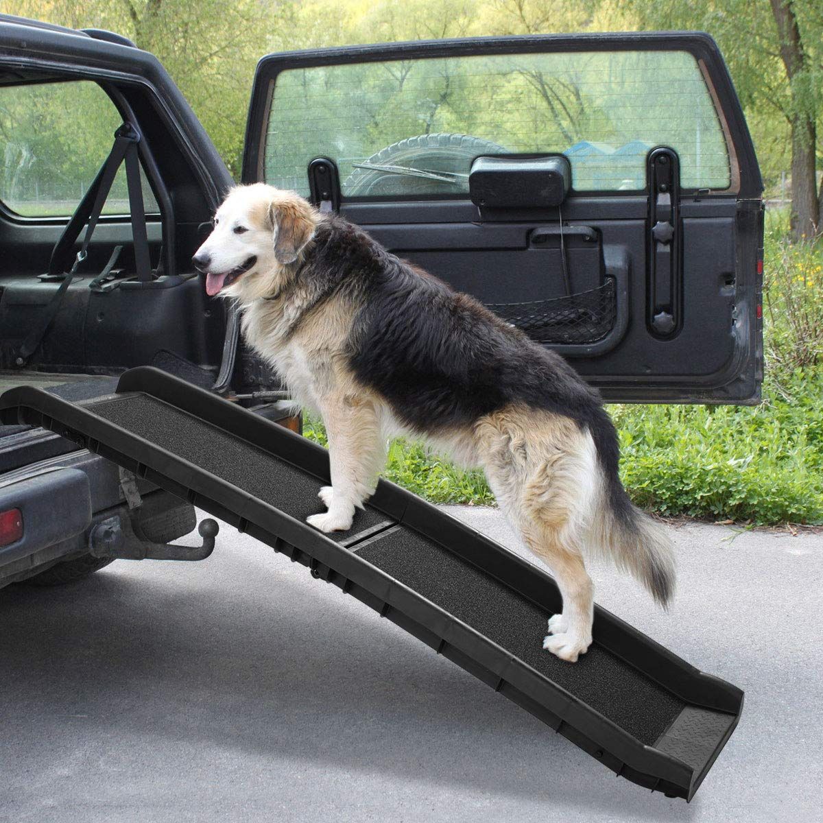 Best Dog Ramps for Cars Trucks and SUVs in 2024