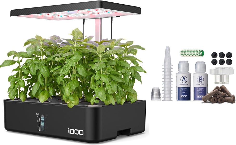 Indoor Garden 