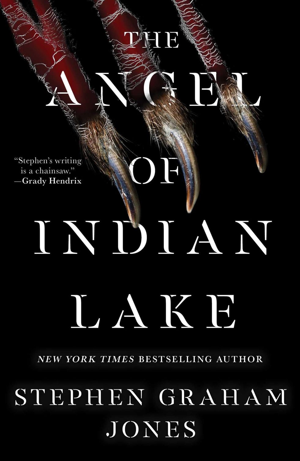The Angel of Indian Lake, by Stephen Graham Jones