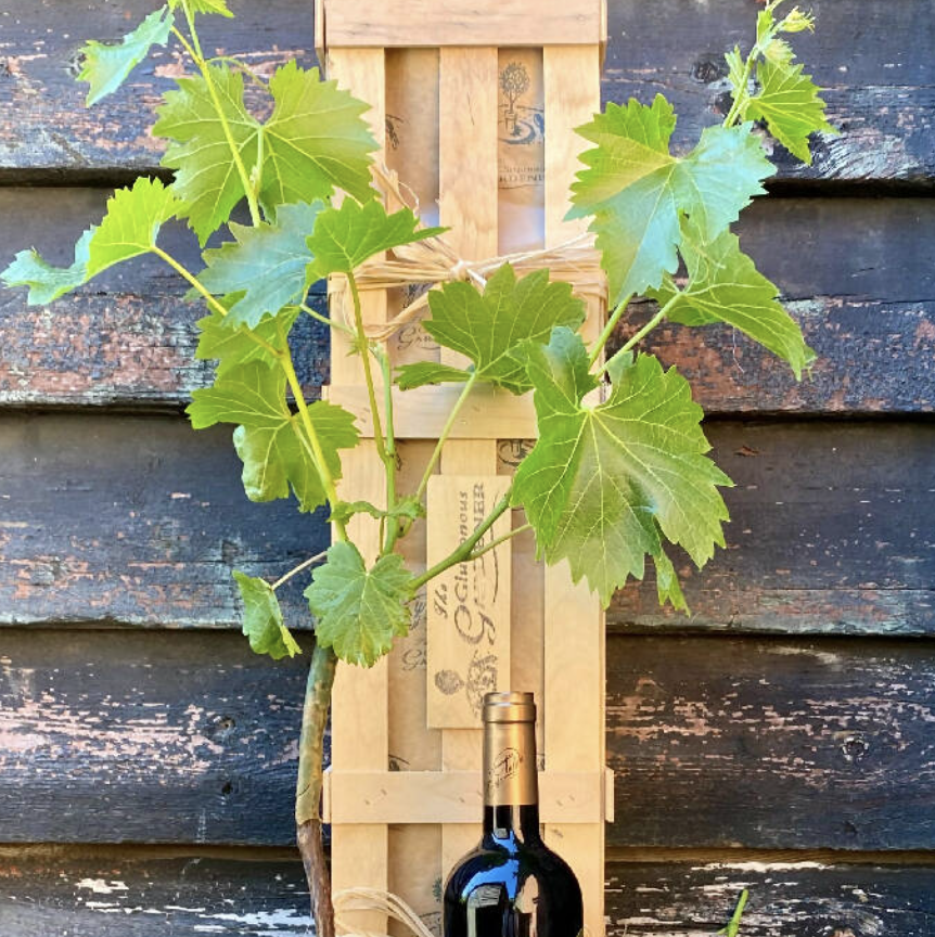 Red Wine and Vine Gift Crate