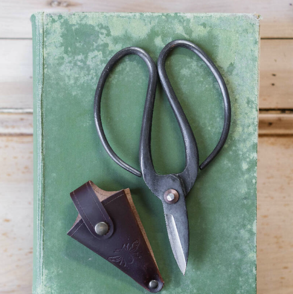 Large Garden Scissors in Leather Holder
