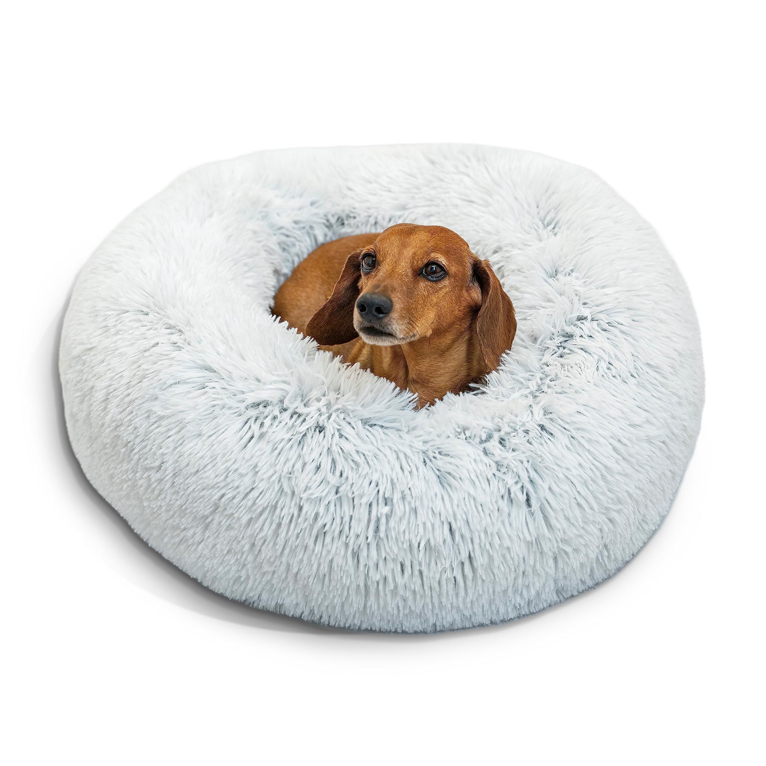 Most comfortable dog bed hotsell