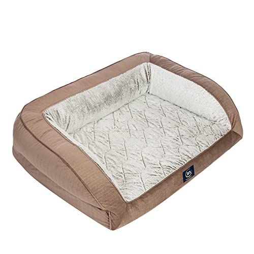 9 Best Dog Beds Best Dog Beds for Large and Small Dogs