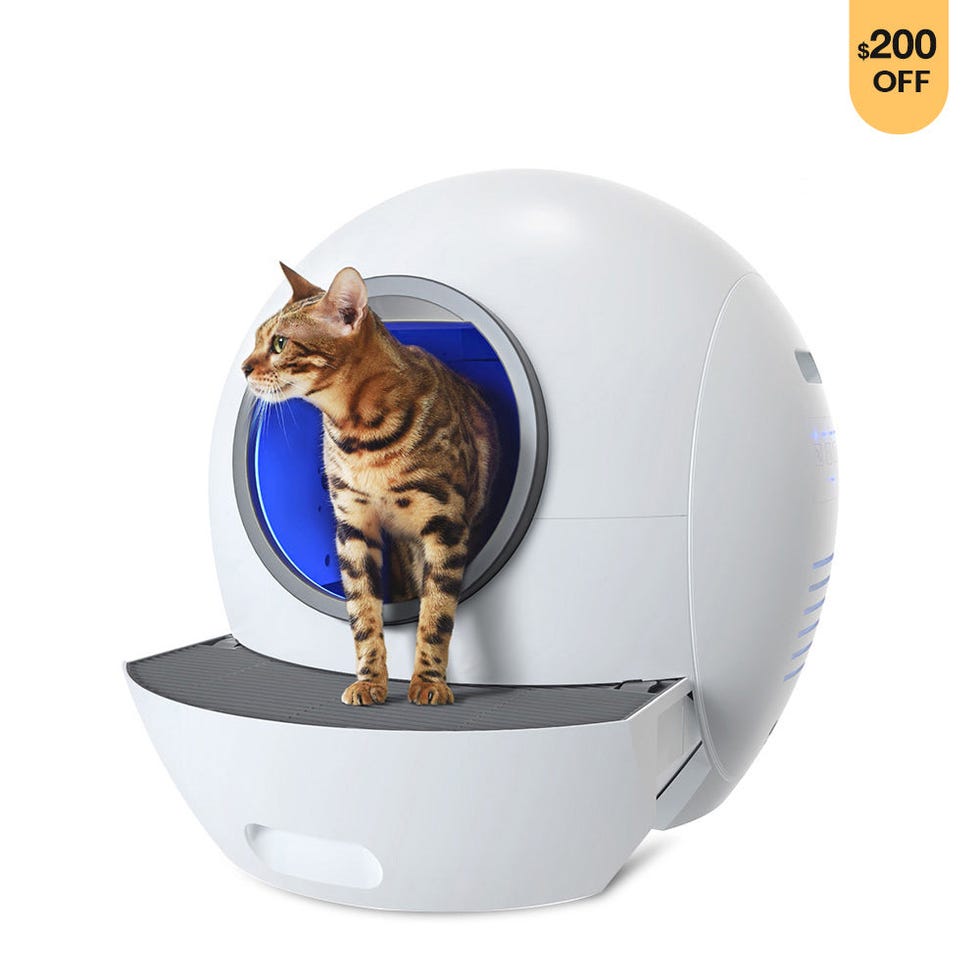 7 Best Automatic Litter Boxes, Tested By Real Cats and Reviewed