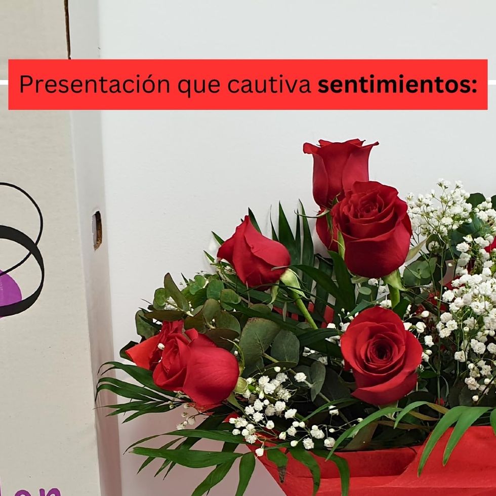 Bouquet con 12 rosas con tarjeta