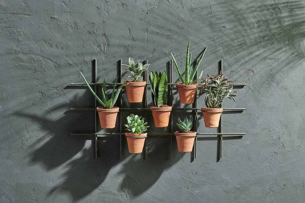 Jara terracotta wall planter