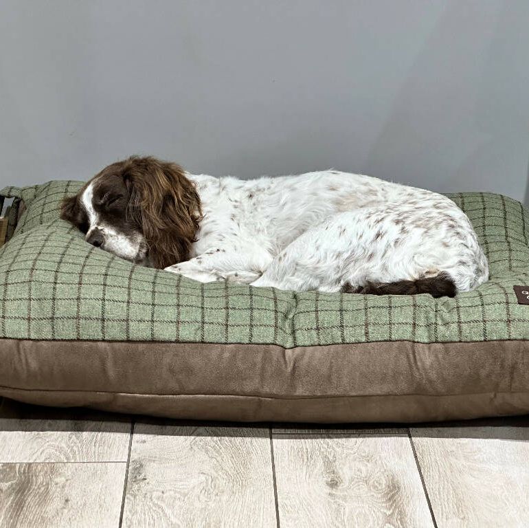 Large Tweed Dog Bed In Olive