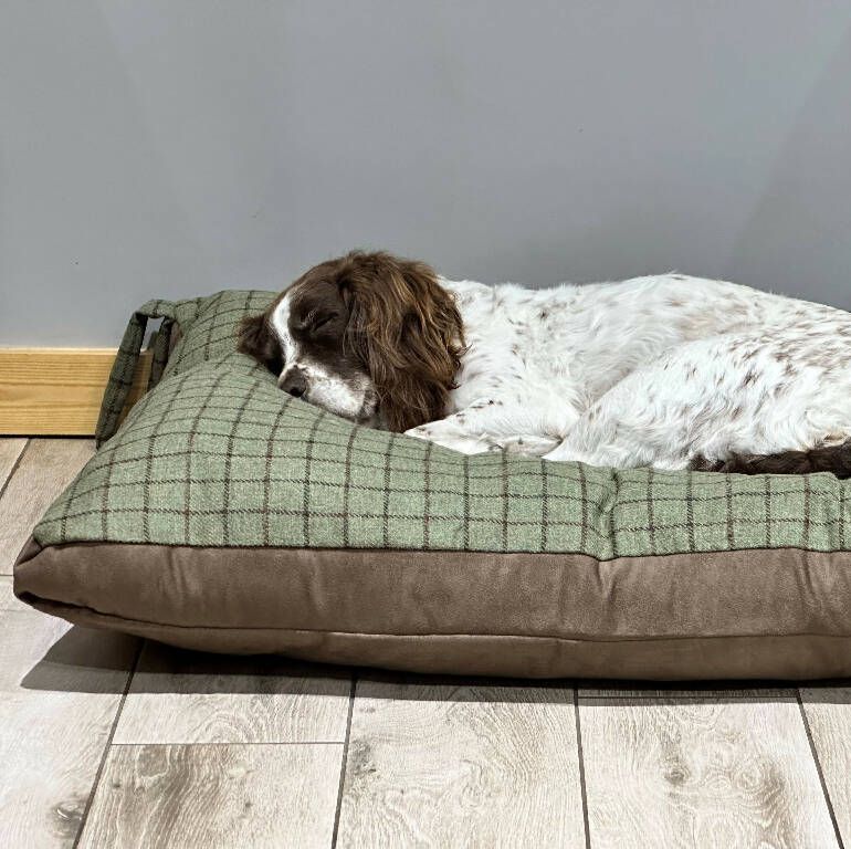 Large Tweed Dog Bed In Olive