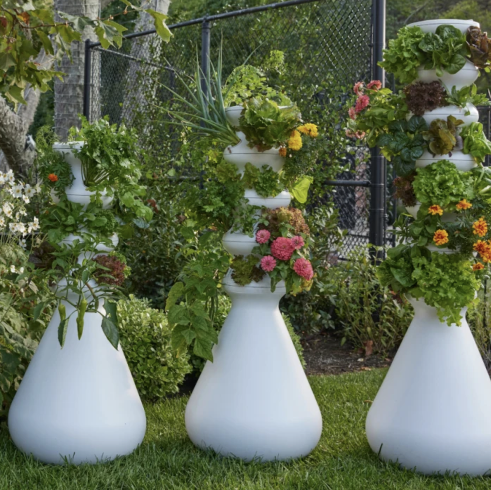 The 35 Best Gifts for Gardeners 2024