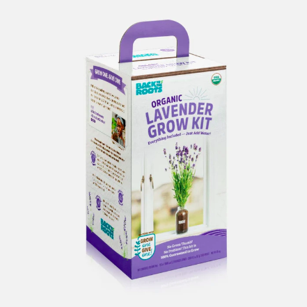 Organic Lavender Grow Kit