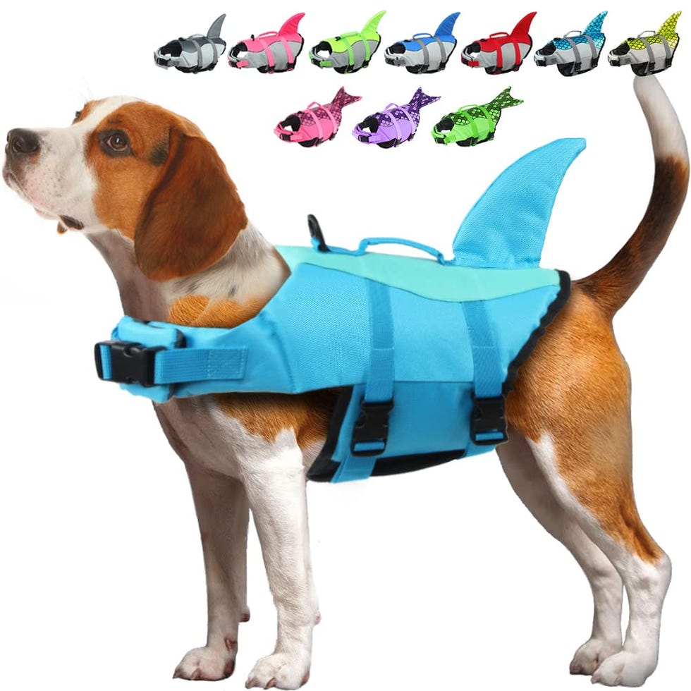 Dog Life Jacket