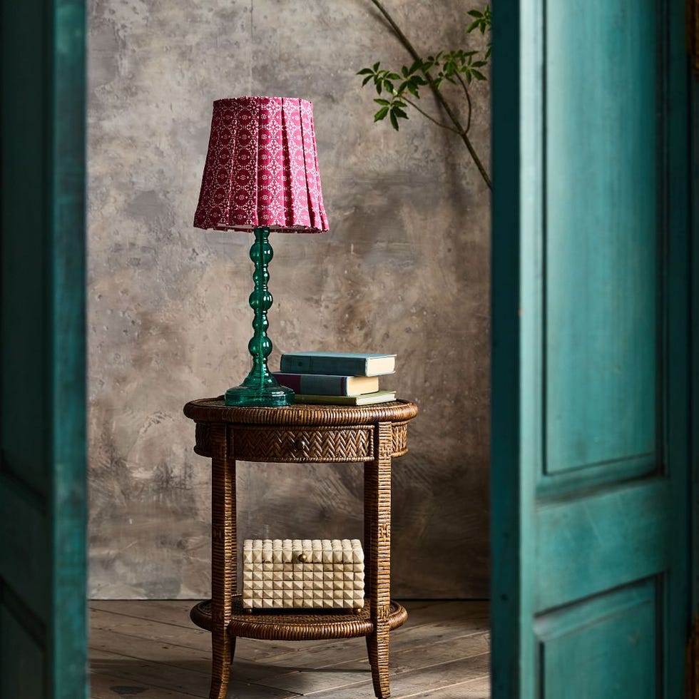 Printed Pleated Lamp Shade & Slipcover