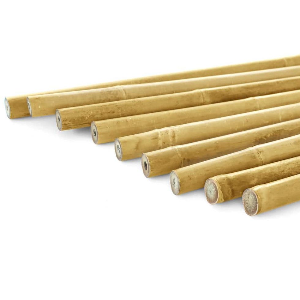 6 ft. Natural Bamboo Eco-Friendly Garden Plant Stakes 