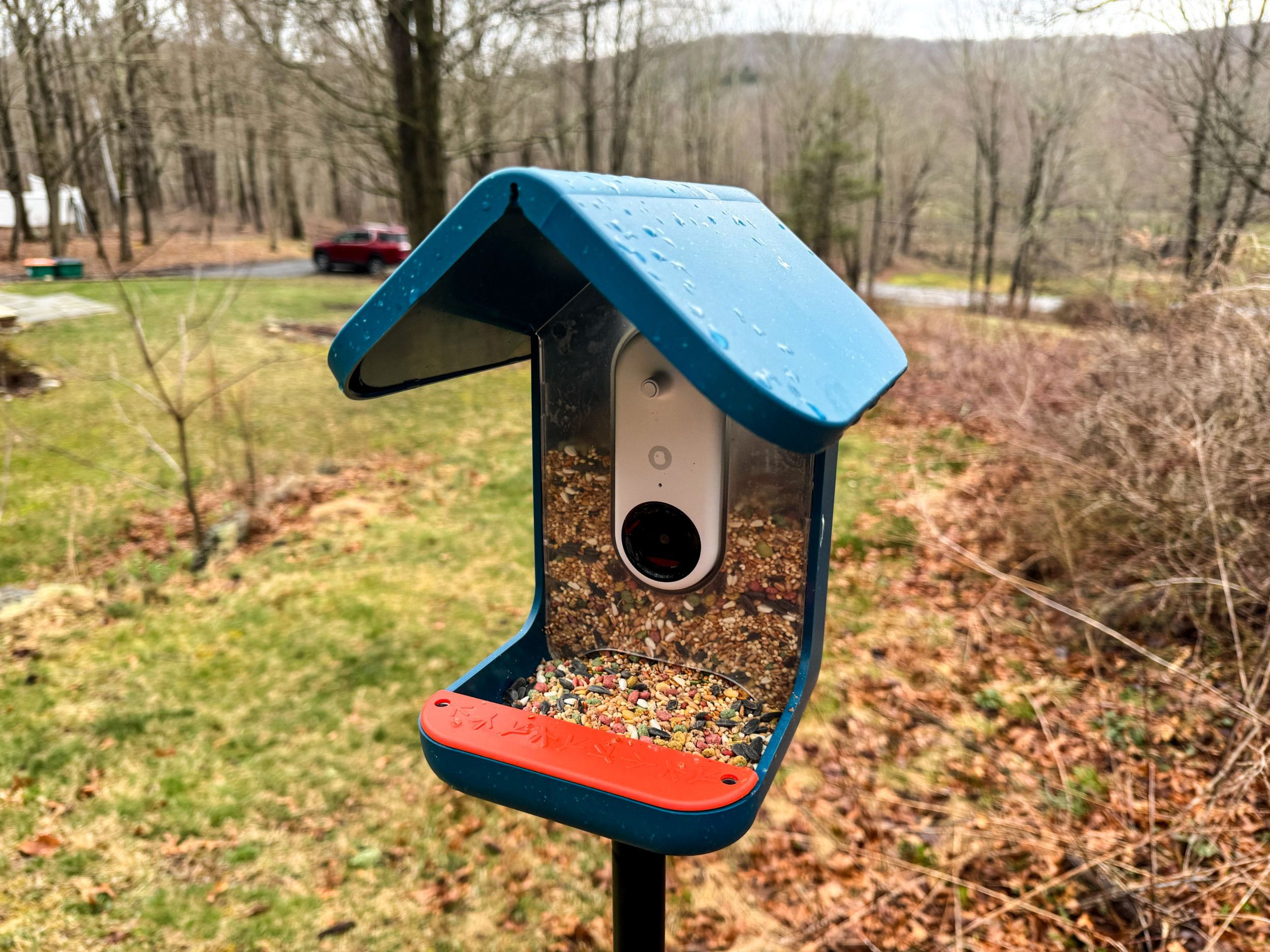 The 4 Best Smart Bird Feeders of 2024 Best Smart Bird Feeder With Camera