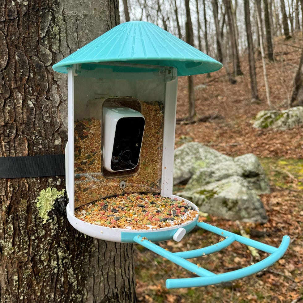 Birdfy Smart Bird Feeder Birdfy Smart Bird Feeder