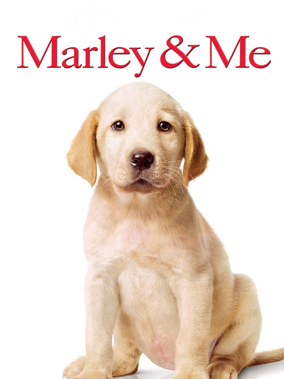 Marley & Me (2008)