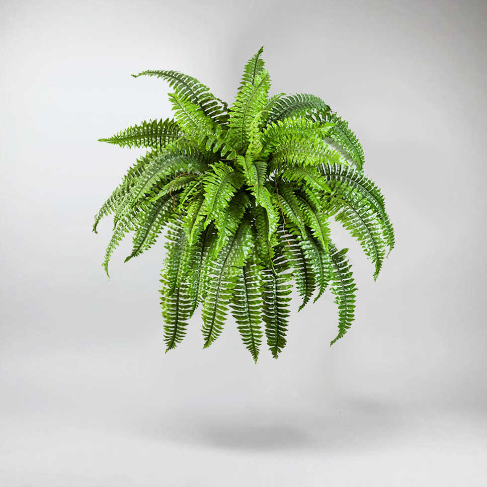 Boston Fern Artificial Plant