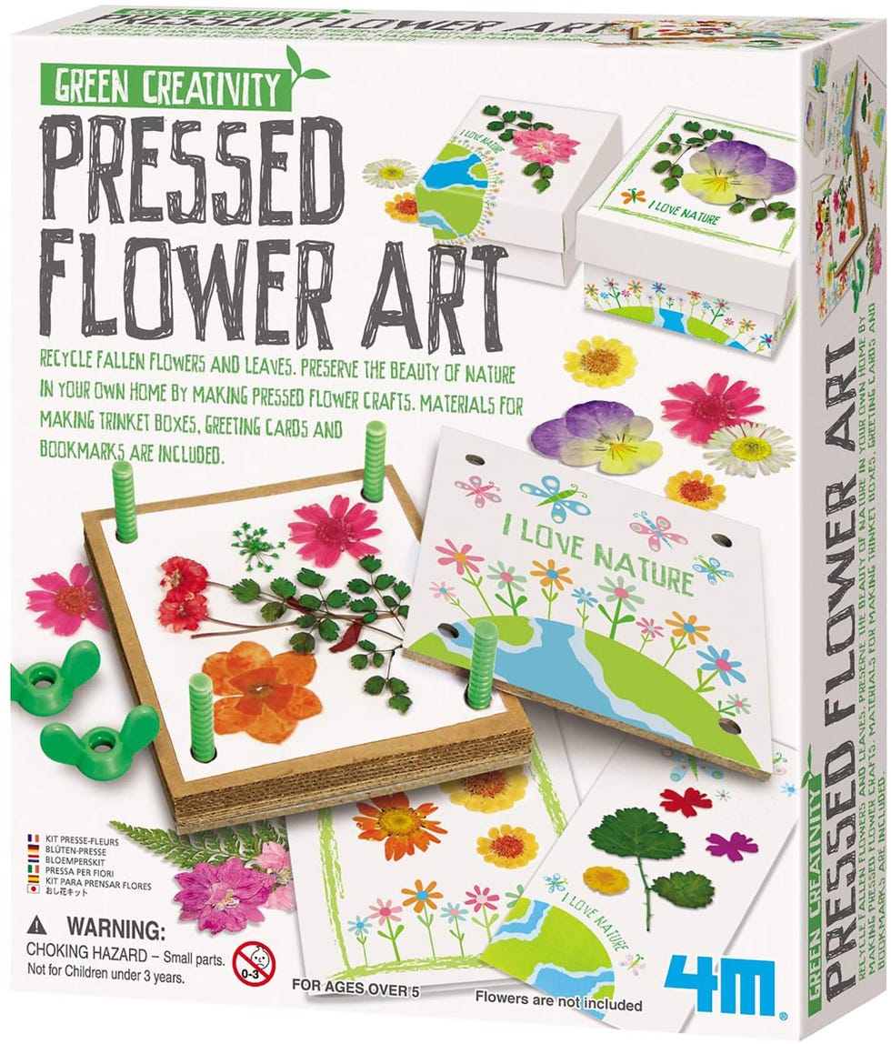 Pressed Flower Art Kit