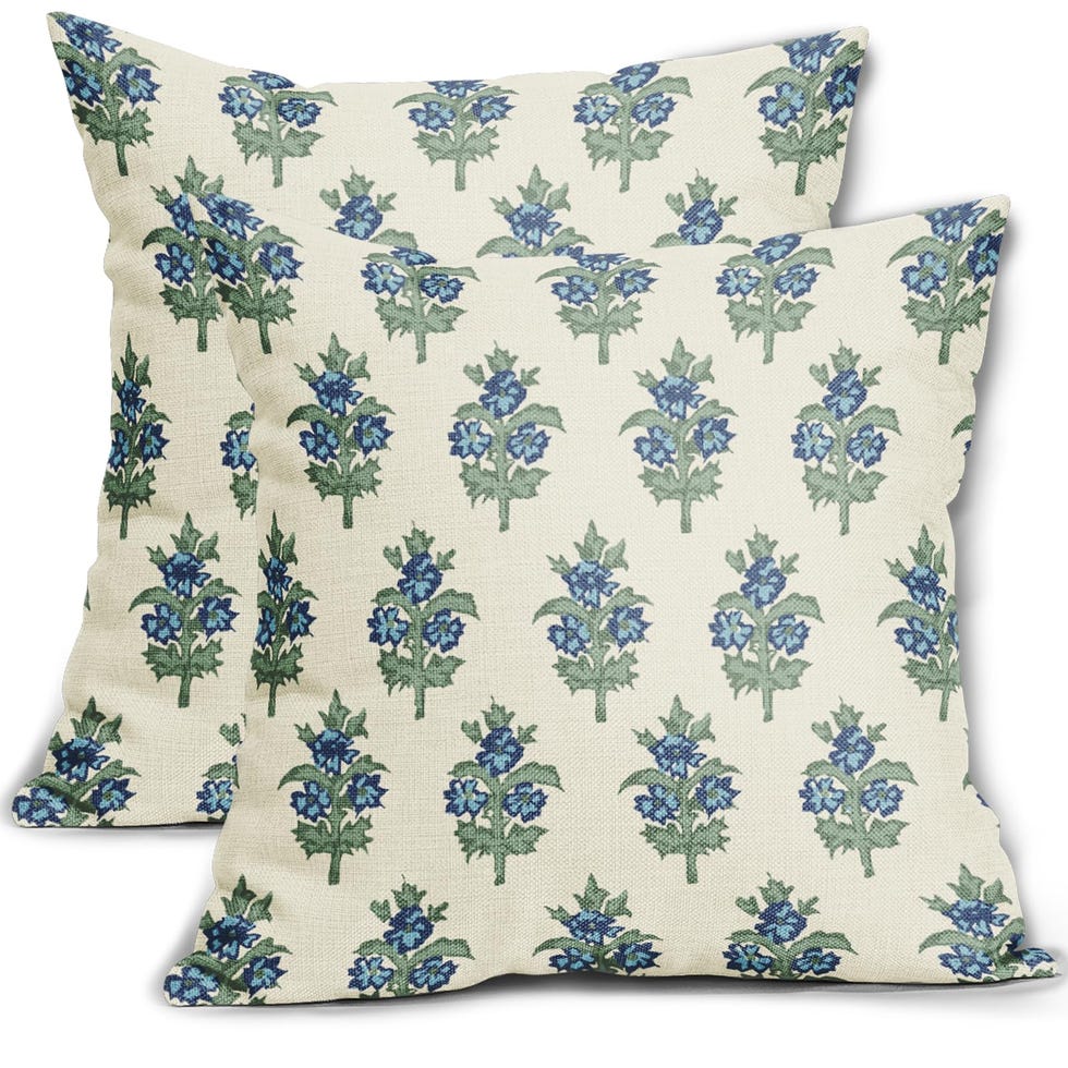 Sage Green Blue Floral Pillow Covers (Set of 2)